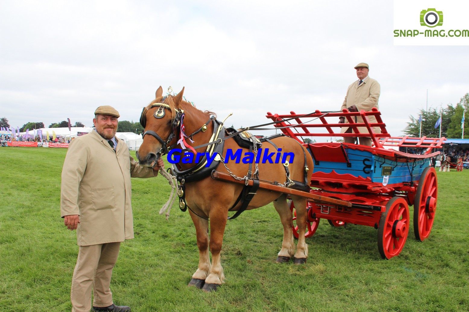Heavy Horses at Royal Norfolk Show 2019